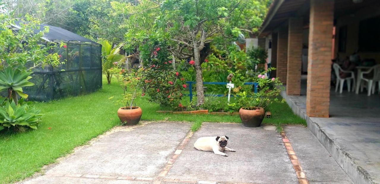 Casas Lindas No Paraiso! Costa Dourada Ngoại thất bức ảnh