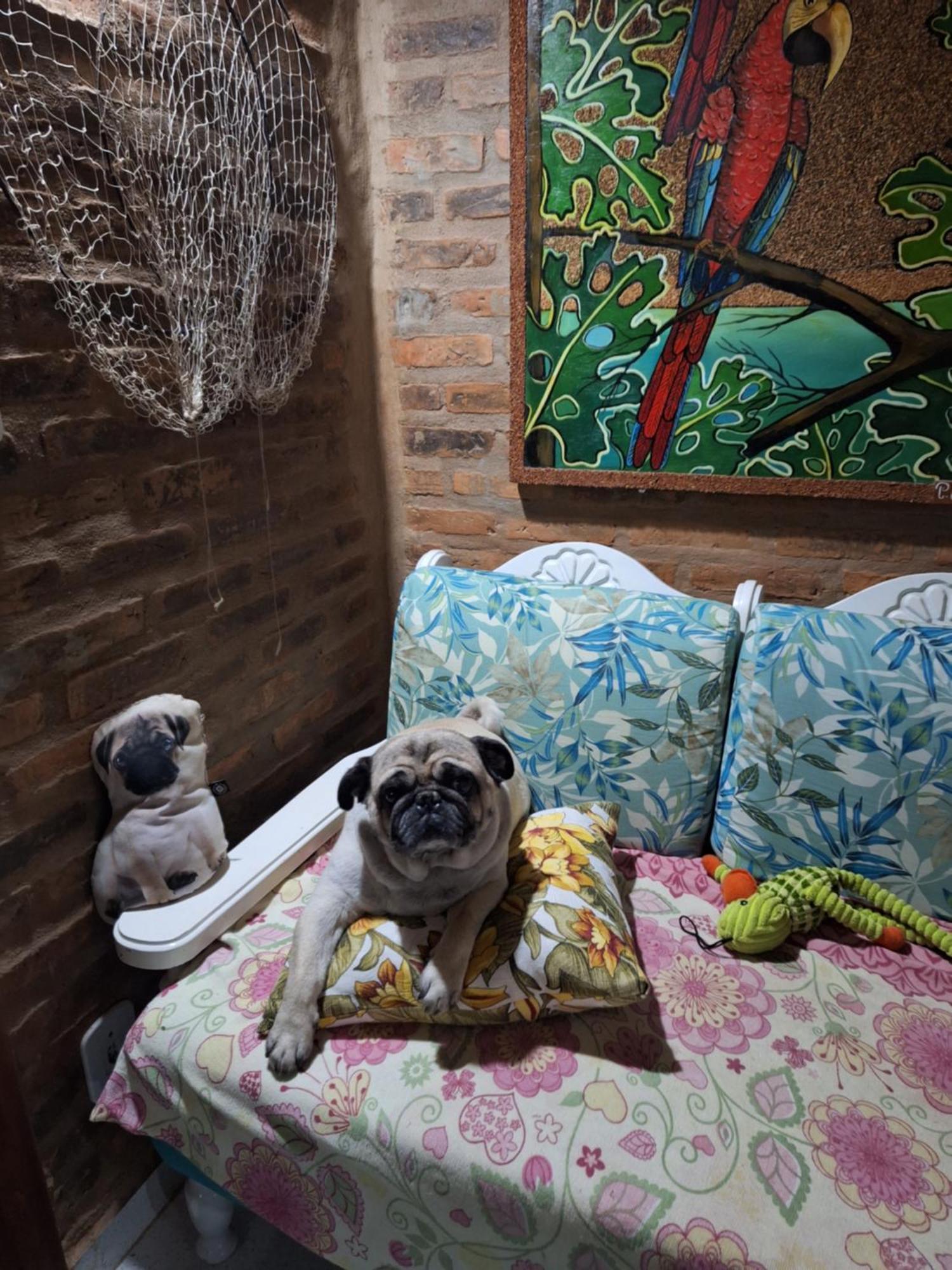 Casas Lindas No Paraiso! Costa Dourada Ngoại thất bức ảnh