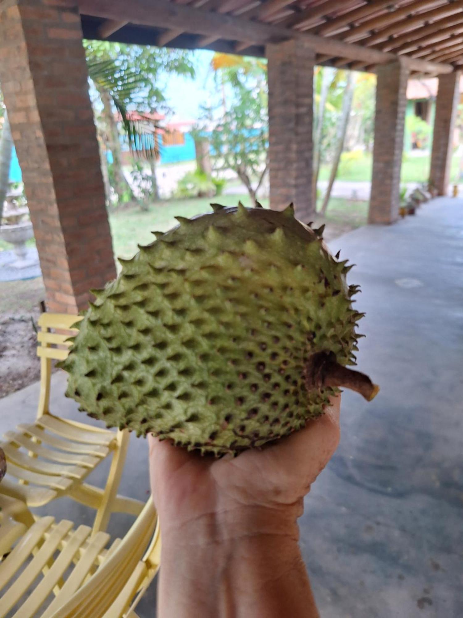 Casas Lindas No Paraiso! Costa Dourada Ngoại thất bức ảnh