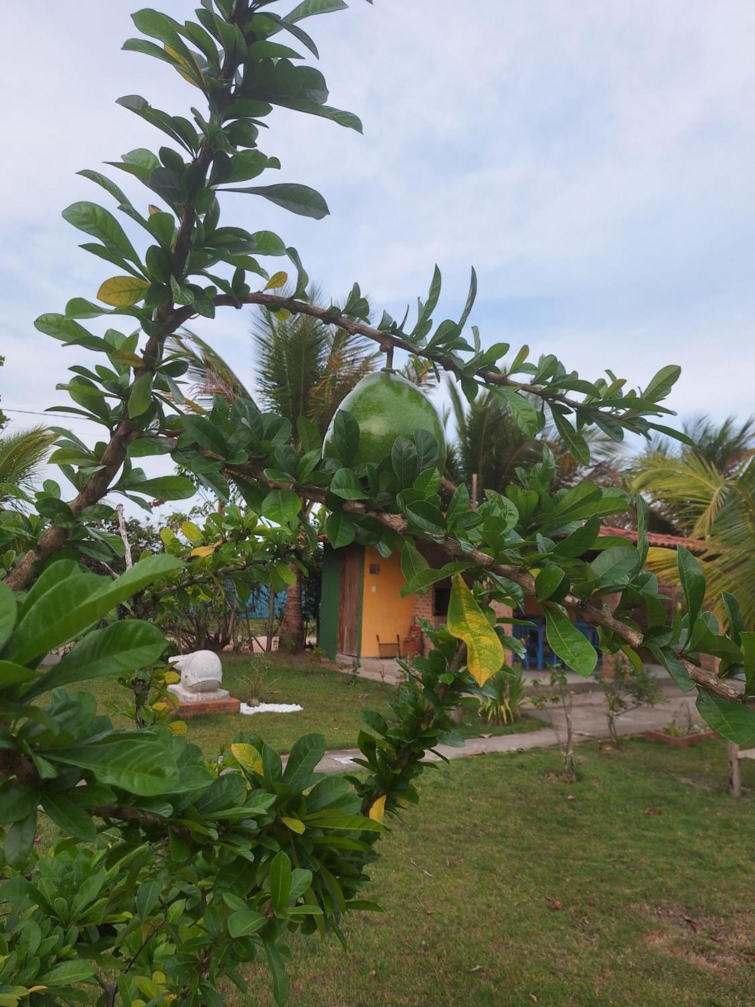 Casas Lindas No Paraiso! Costa Dourada Phòng bức ảnh